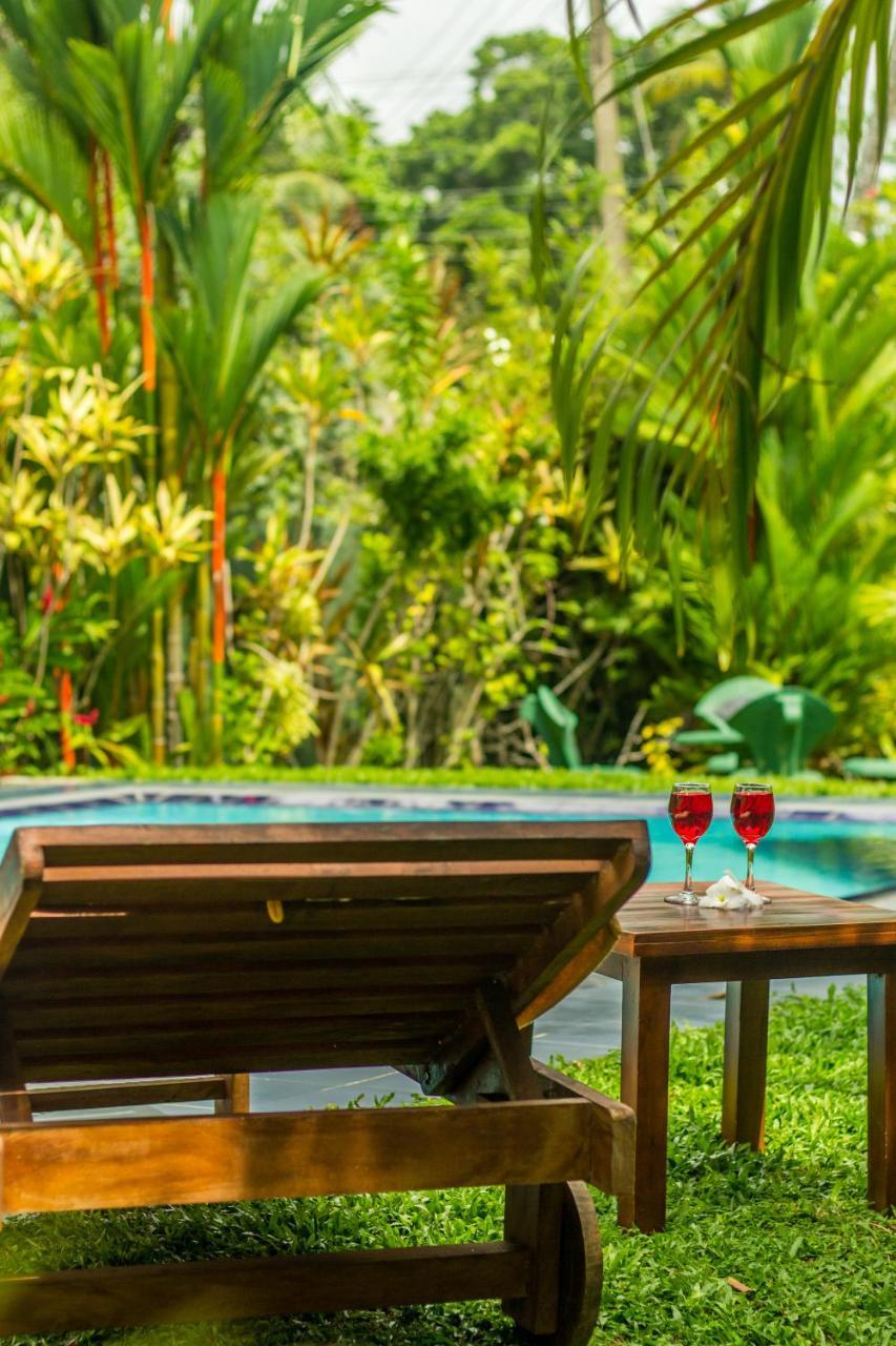 Sakura Villa Μπεντότα Εξωτερικό φωτογραφία